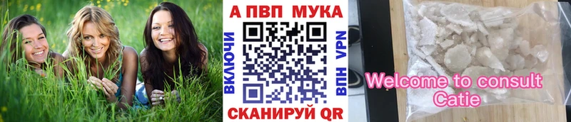 KRAKEN как войти  Петров Вал  Alpha PVP крисы CK  закладка 